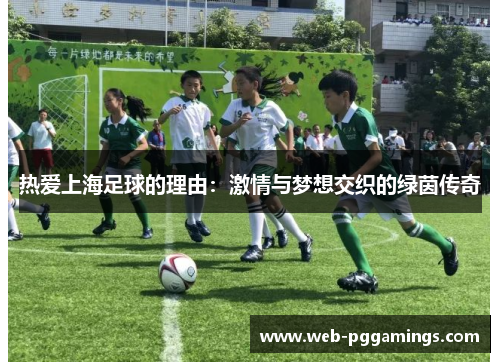 热爱上海足球的理由：激情与梦想交织的绿茵传奇