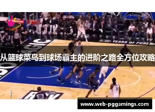 从篮球菜鸟到球场霸主的进阶之路全方位攻略