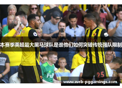 本赛季英超最大黑马球队是谁他们如何突破传统强队限制