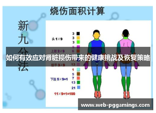 如何有效应对肾脏损伤带来的健康挑战及恢复策略