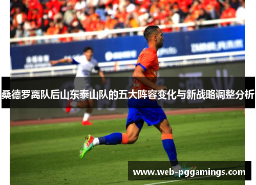 桑德罗离队后山东泰山队的五大阵容变化与新战略调整分析