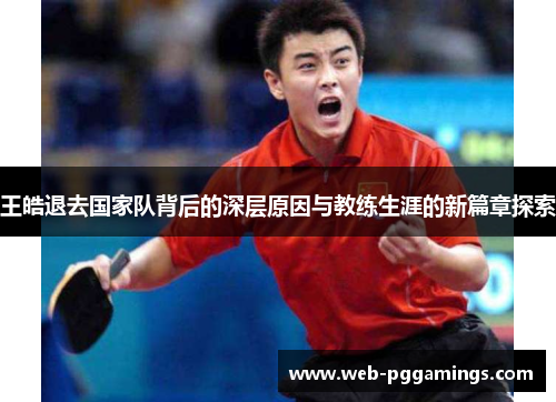 王皓退去国家队背后的深层原因与教练生涯的新篇章探索