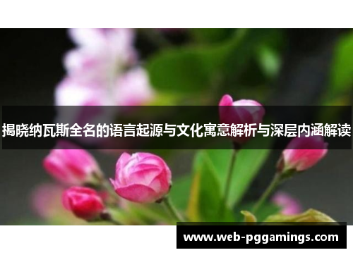 揭晓纳瓦斯全名的语言起源与文化寓意解析与深层内涵解读