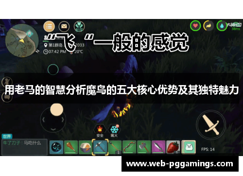 用老马的智慧分析魔鸟的五大核心优势及其独特魅力