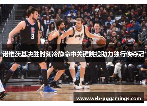 诺维茨基决胜时刻冷静命中关键跳投助力独行侠夺冠
