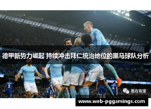 德甲新势力崛起 持续冲击拜仁统治地位的黑马球队分析